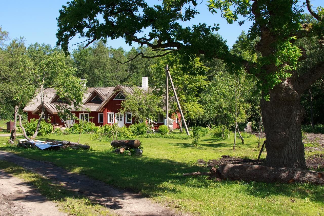 Загородные дома Laugu Holiday Resort Лаугу-10